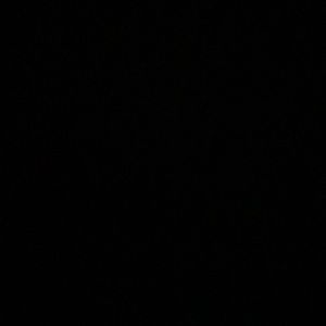 Meet your Posher, Shane